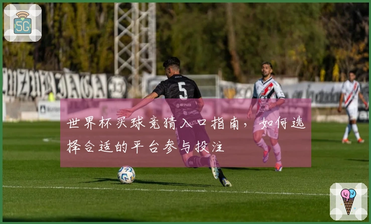 世界杯买球竞猜入口指南，如何选择合适的平台参与投注