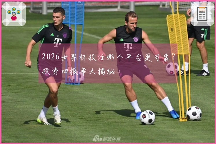2026世界杯投注哪个平台更可靠？投资回报率大揭秘