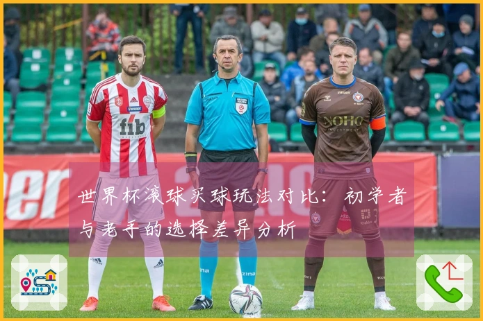 世界杯滚球买球玩法对比：初学者与老手的选择差异分析