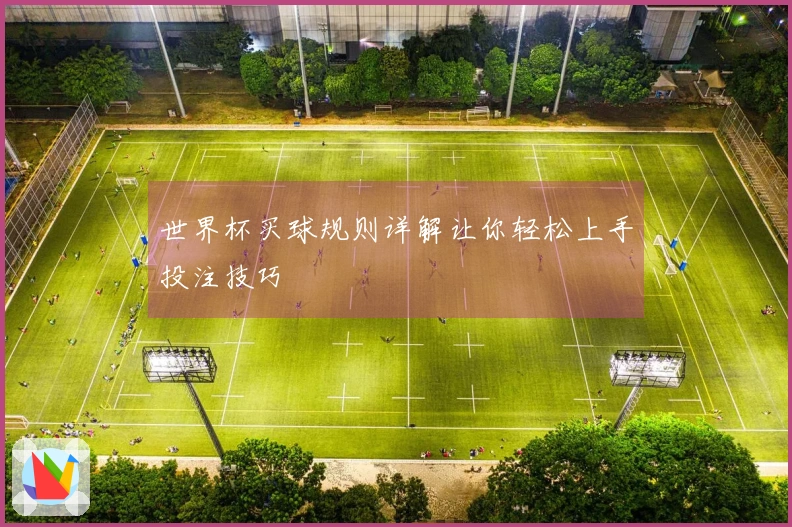 世界杯买球规则详解让你轻松上手投注技巧