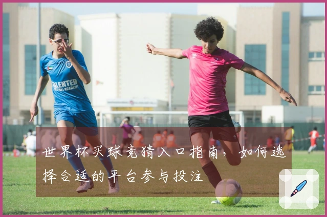 世界杯买球竞猜入口指南，如何选择合适的平台参与投注