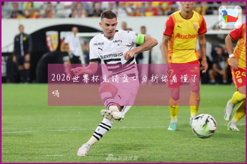 2026世界杯竞猜盘口分析你看懂了吗