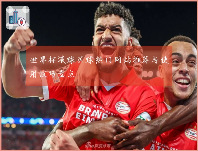 世界杯滚球买球热门网站推荐与使用技巧盘点