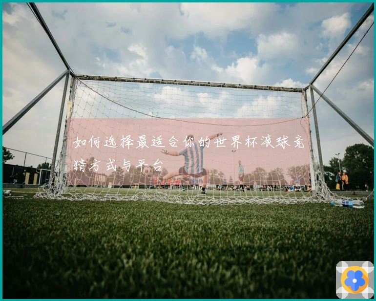 如何选择最适合你的世界杯滚球竞猜方式与平台