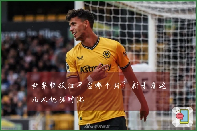 世界杯投注平台哪个好？新手看这几大优劣对比