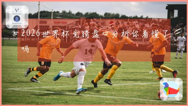 2026世界杯竞猜盘口分析你看懂了吗
