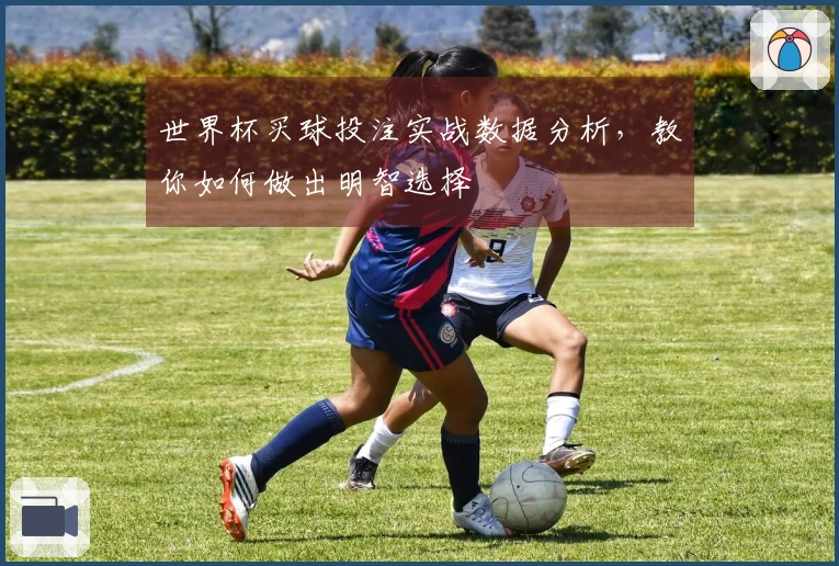 世界杯买球投注实战数据分析，教你如何做出明智选择