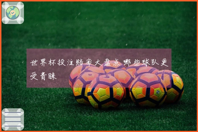 世界杯投注赔率大盘点 哪些球队更受青睐