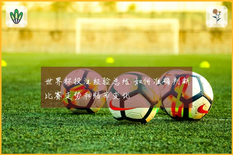 世界杯投注经验总结 如何准确判断比赛走势和赔率变化