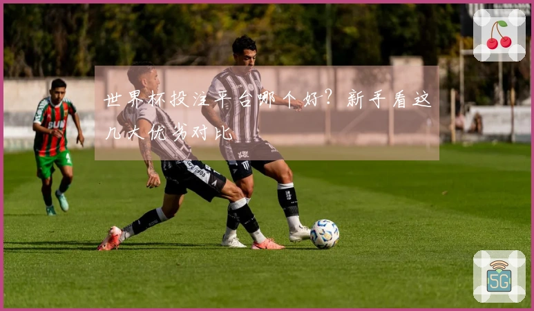 世界杯投注平台哪个好？新手看这几大优劣对比