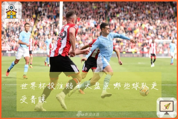 世界杯投注赔率大盘点 哪些球队更受青睐